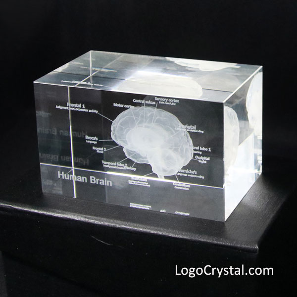 Cristal gravé 3D personnalisé (ajoutez votre logo et le texte) : :  Fournitures de bureau